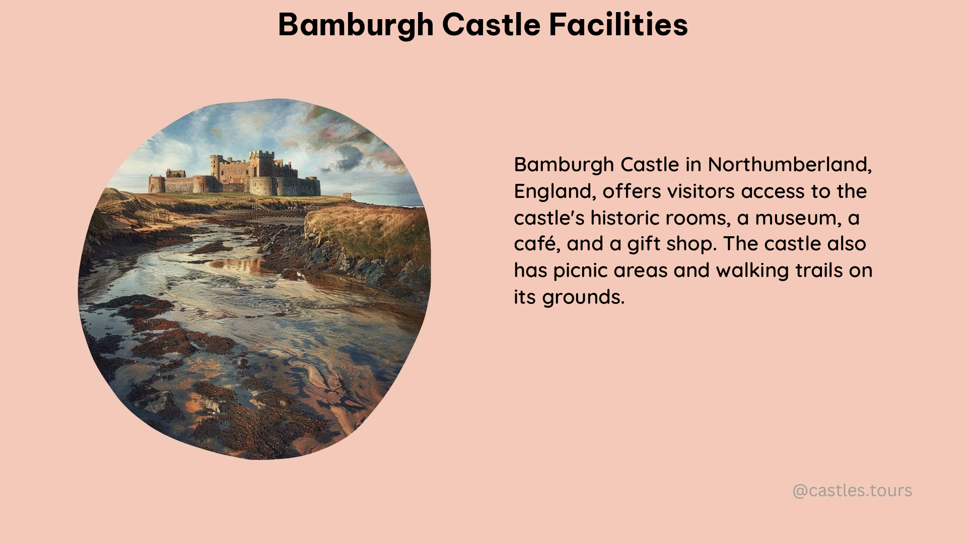 bamburgh castle facilities