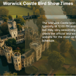 warwick castle bird show times