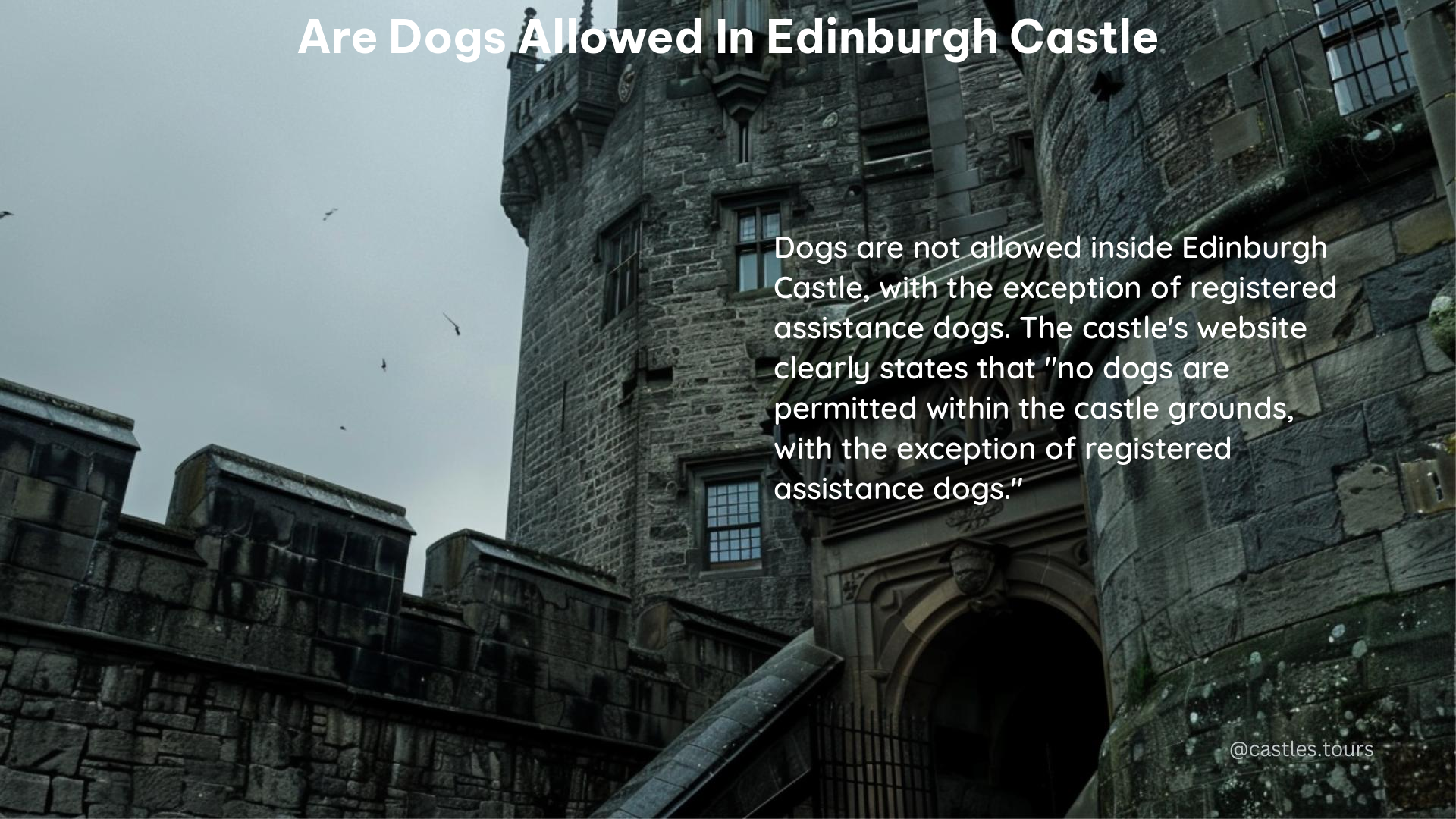 are dogs allowed in edinburgh castle