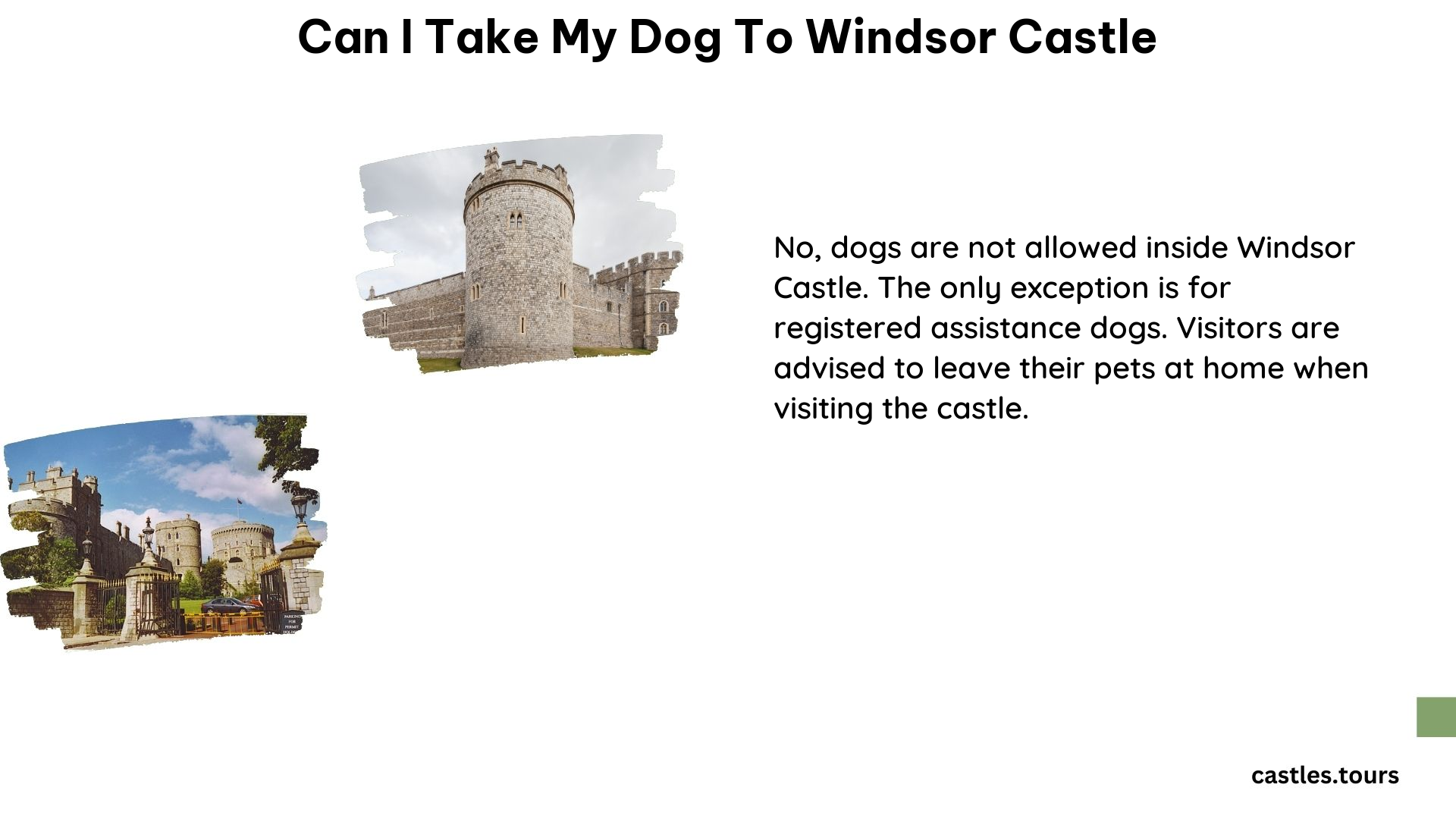 Can I Take My Dog to Windsor Castle