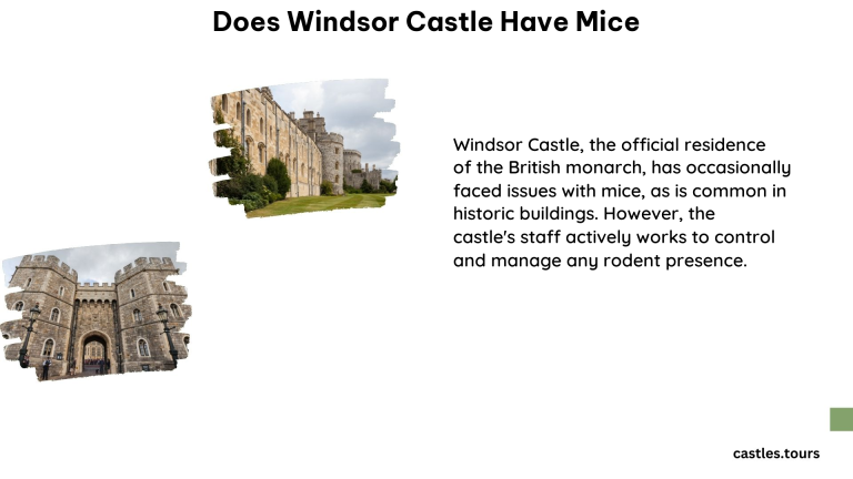 Does Windsor Castle Have Mice