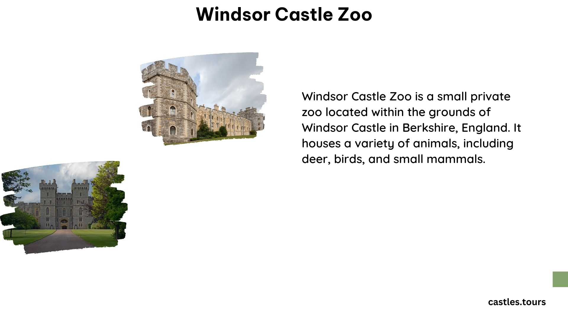 Windsor Castle Zoo