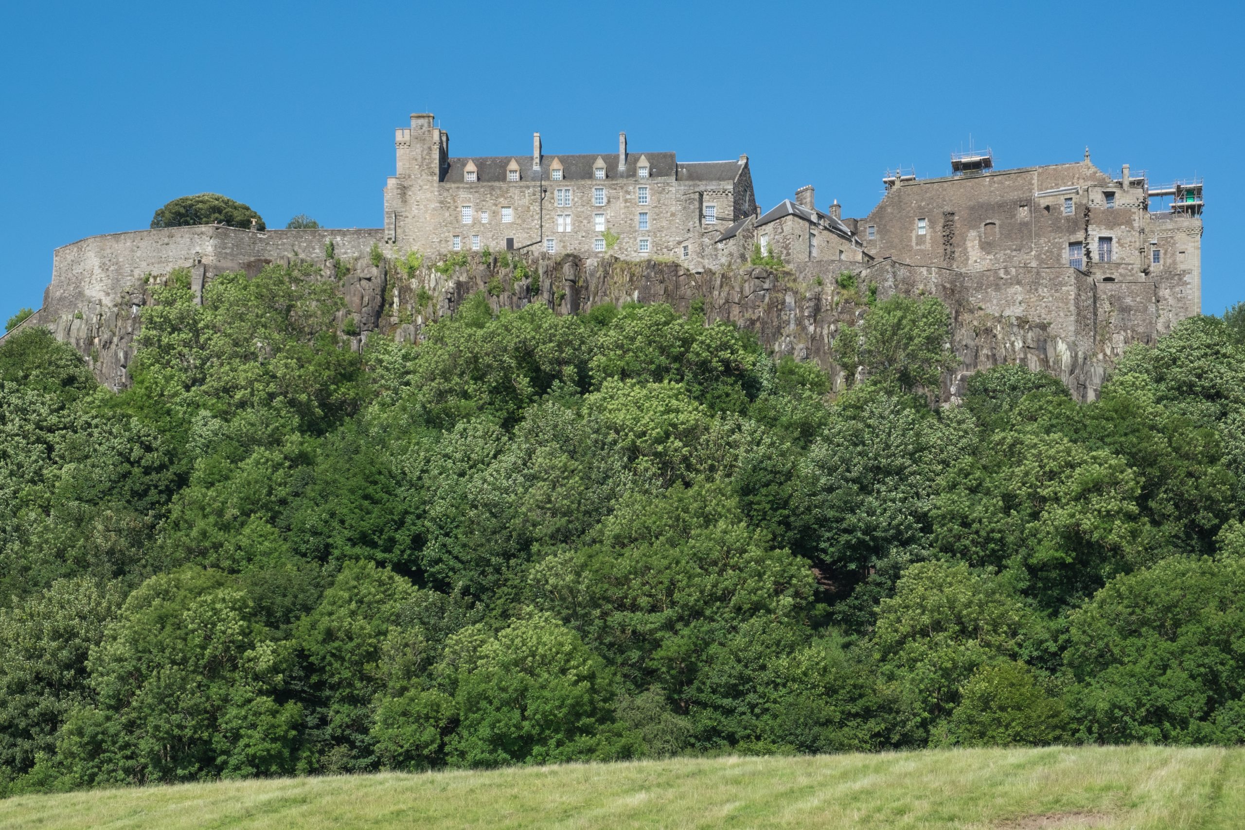 stirling castle apple tree