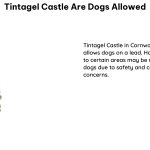 Tintagel Castle Are Dogs Allowed