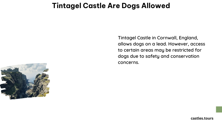 Tintagel Castle Are Dogs Allowed