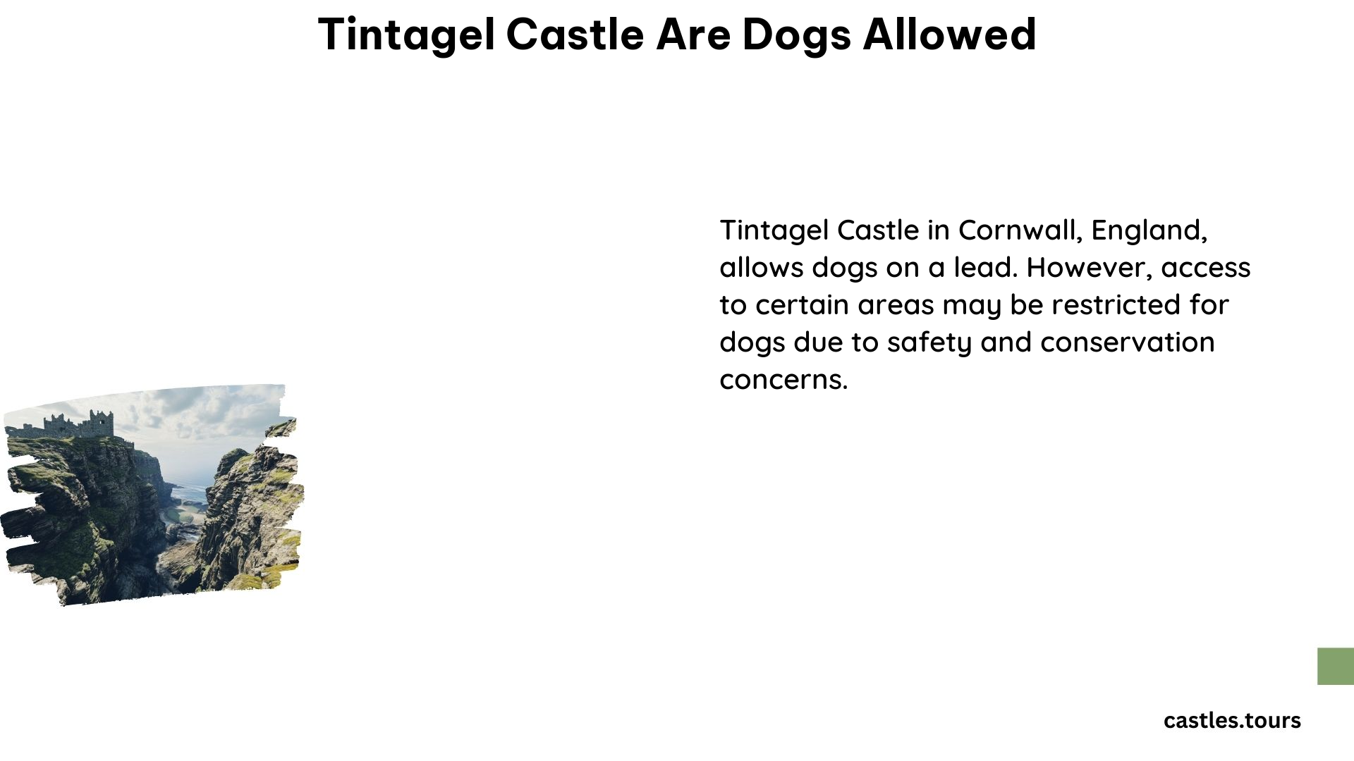 Tintagel Castle Are Dogs Allowed