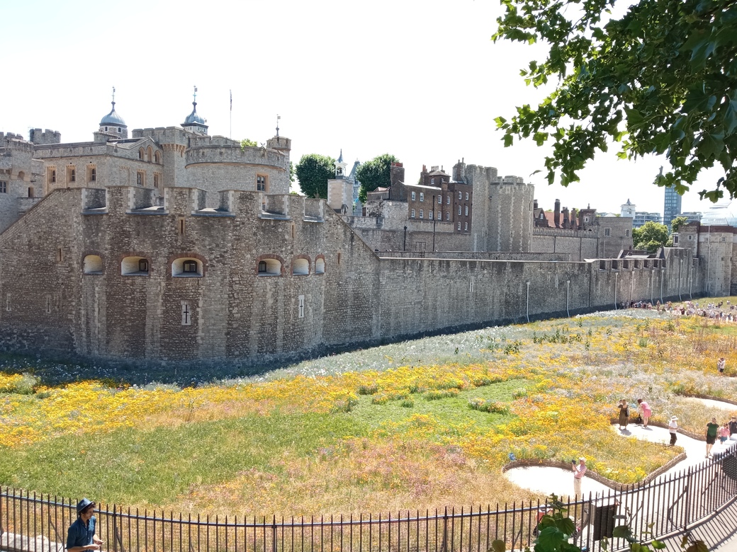 cab ride tower of london